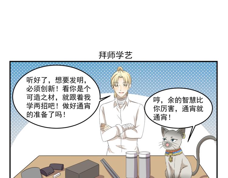 第430话  猫咪习性6