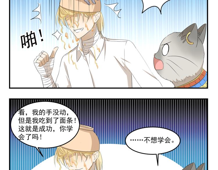 第430话  猫咪习性9