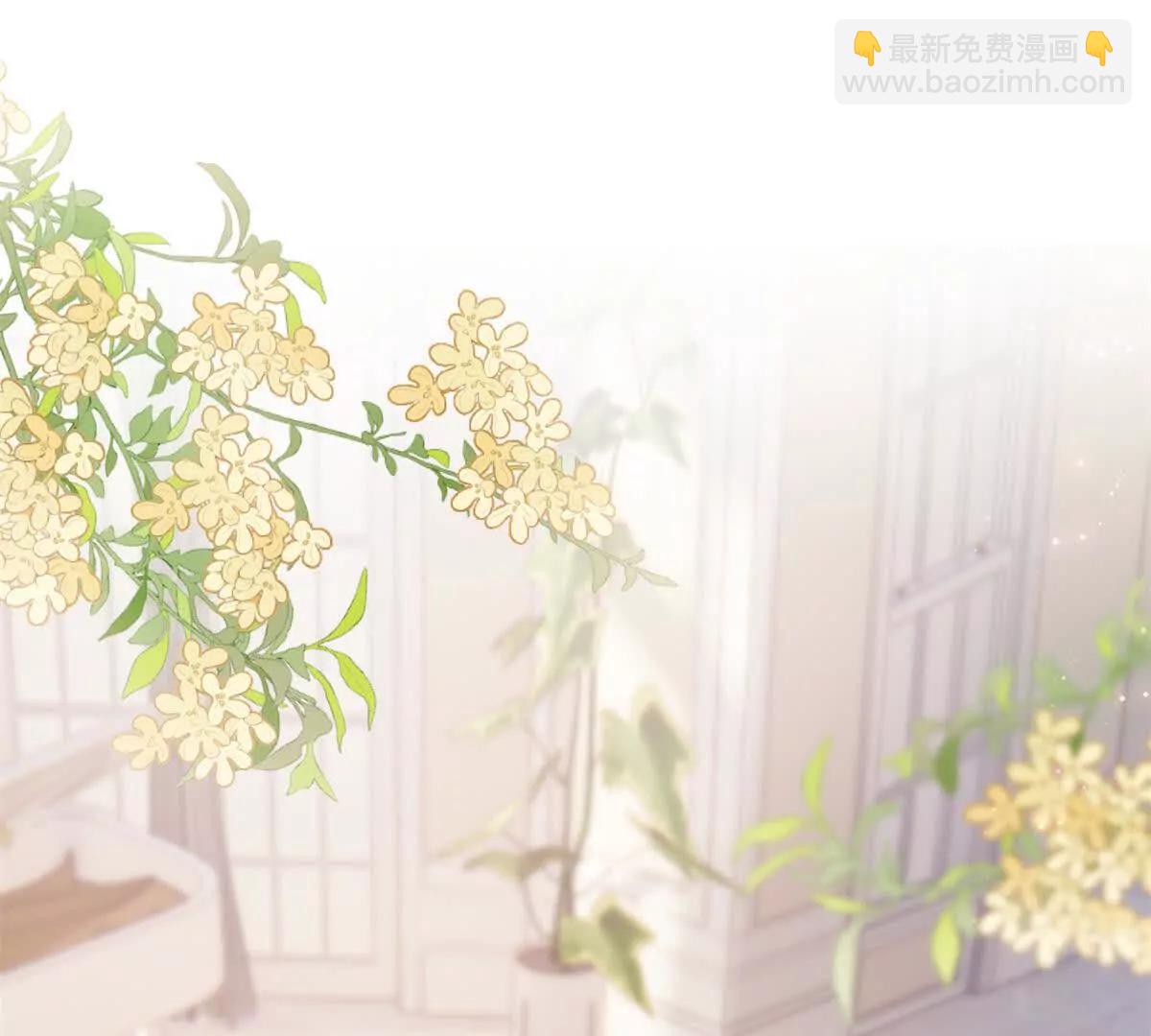 11 比绿茶更茶57