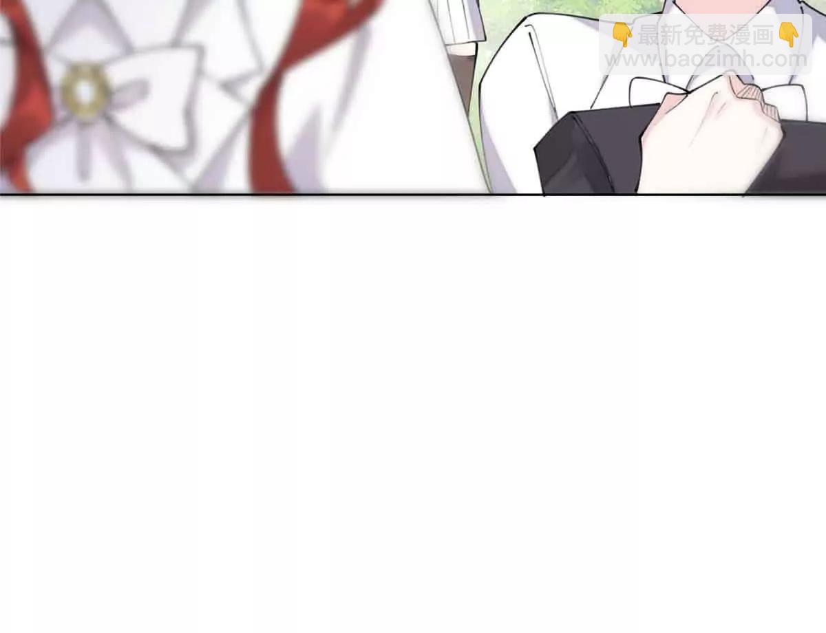 35 狐狸？狼？还是狗狗？30