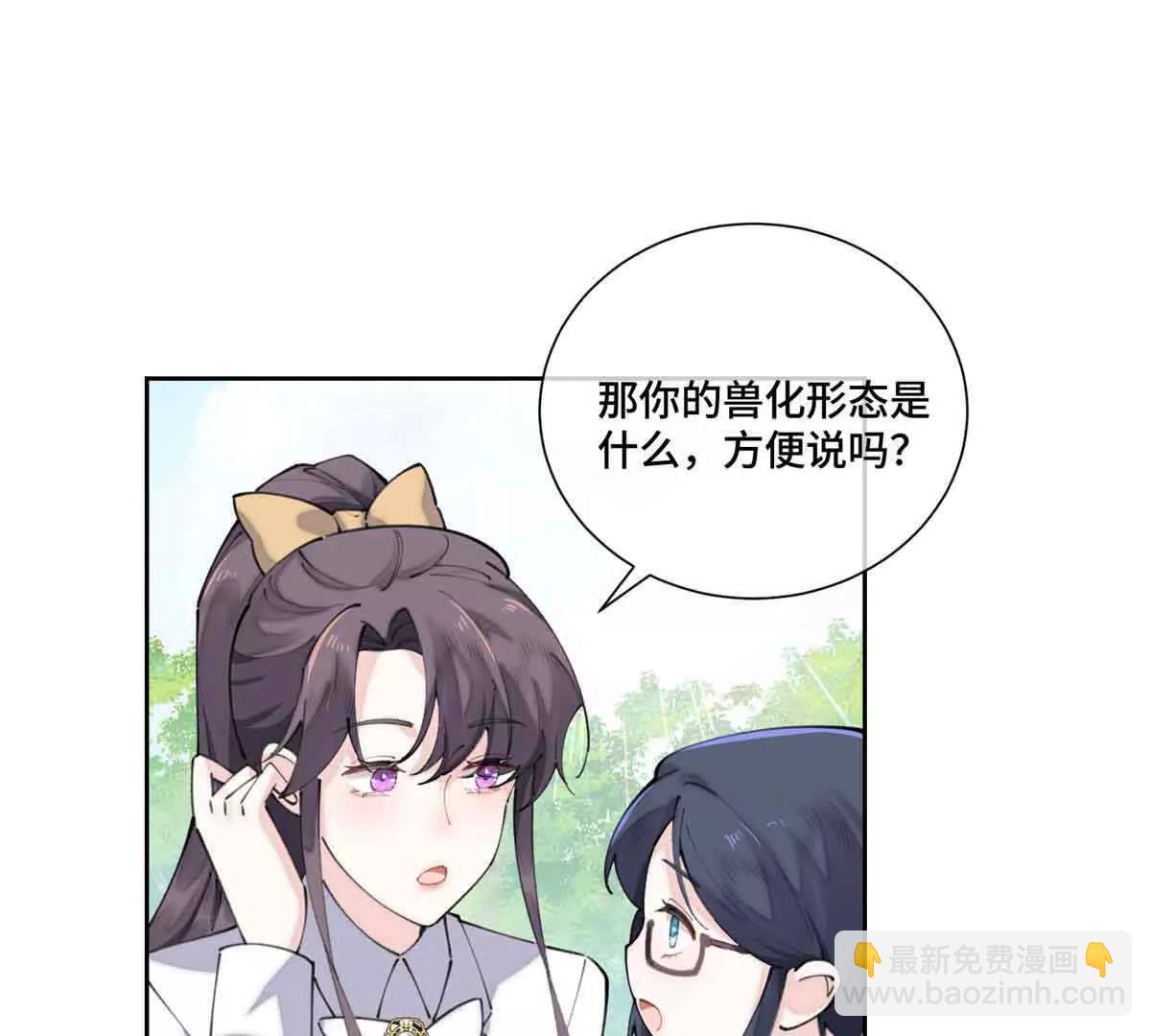 35 狐狸？狼？还是狗狗？43