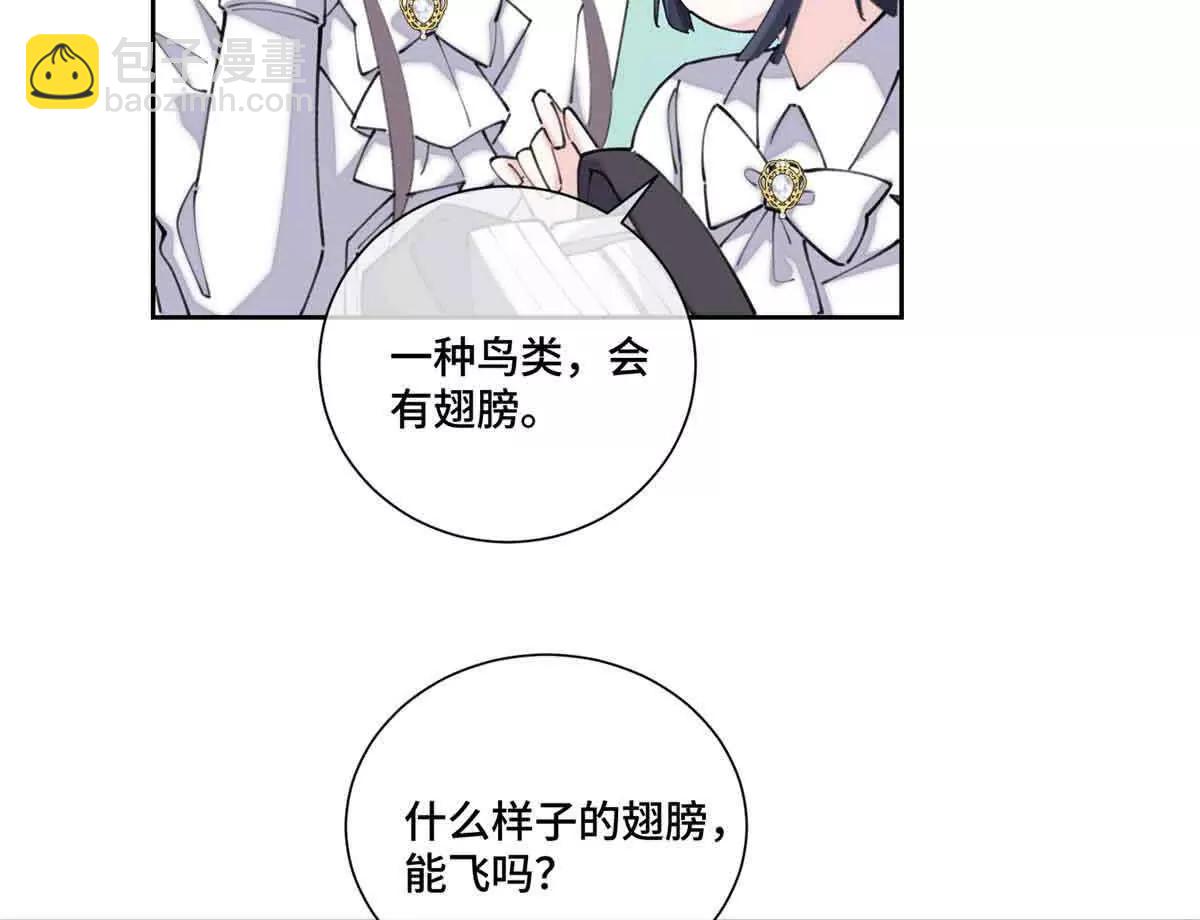 35 狐狸？狼？还是狗狗？44