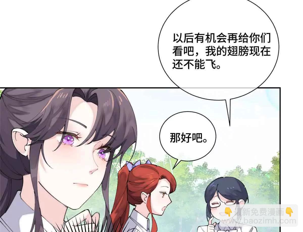 35 狐狸？狼？还是狗狗？50