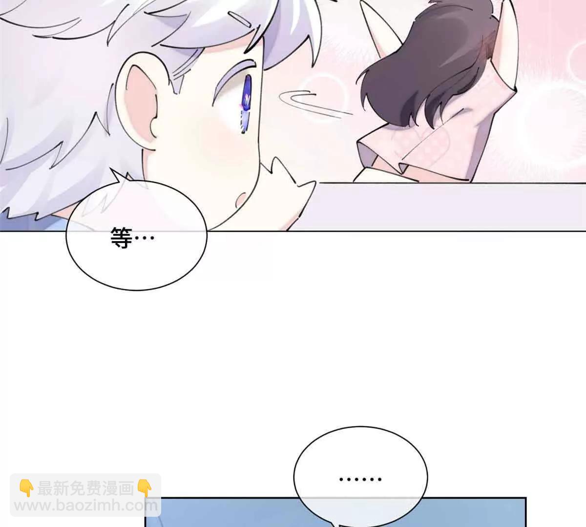 35 狐狸？狼？还是狗狗？7