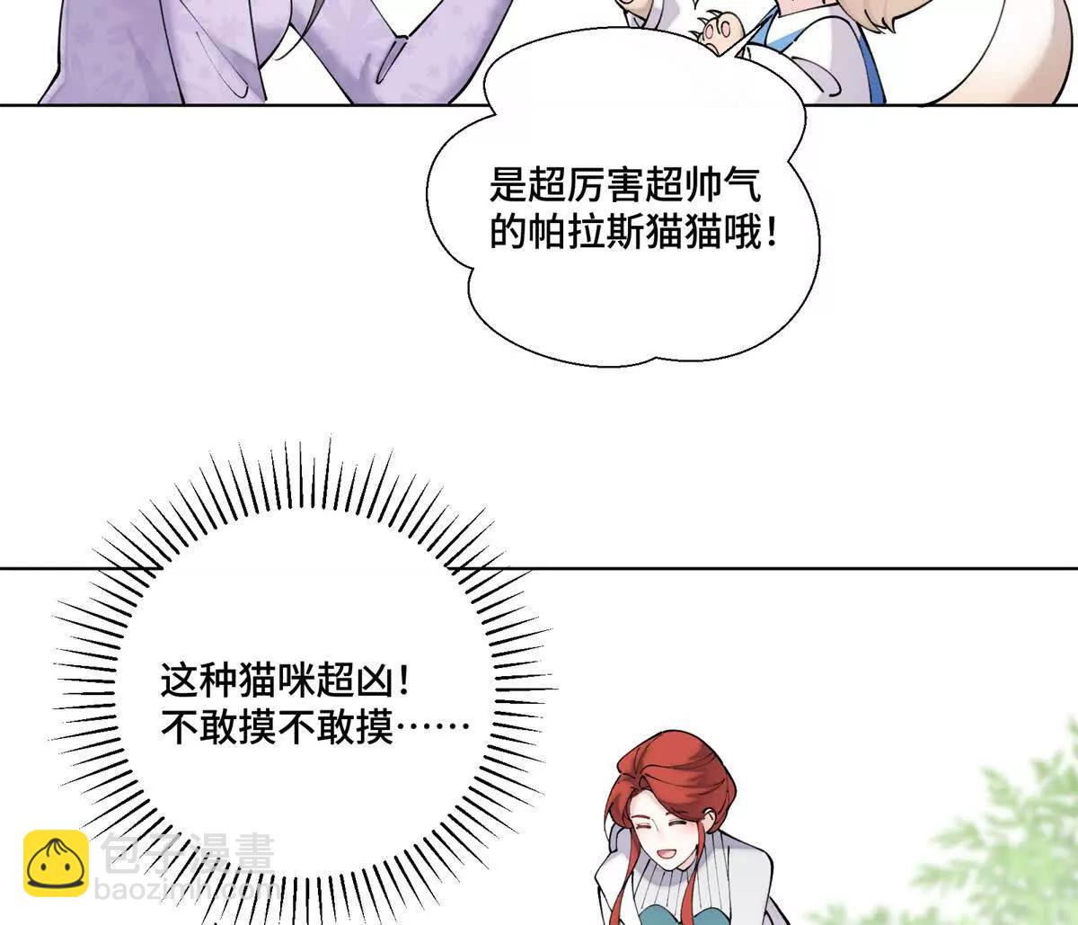 62 是帕拉斯猫猫哦16