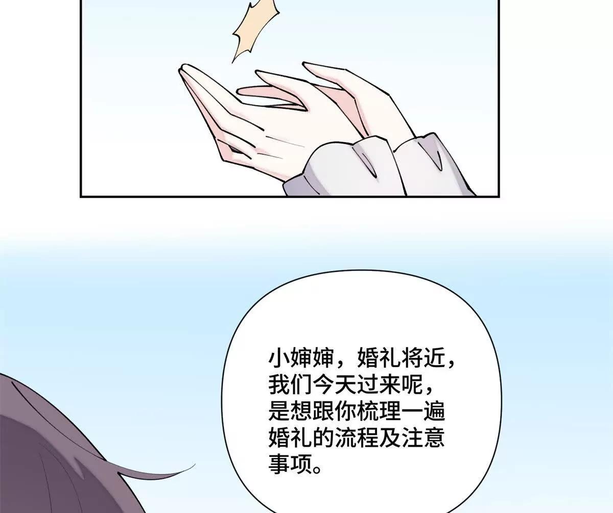 62 是帕拉斯猫猫哦18