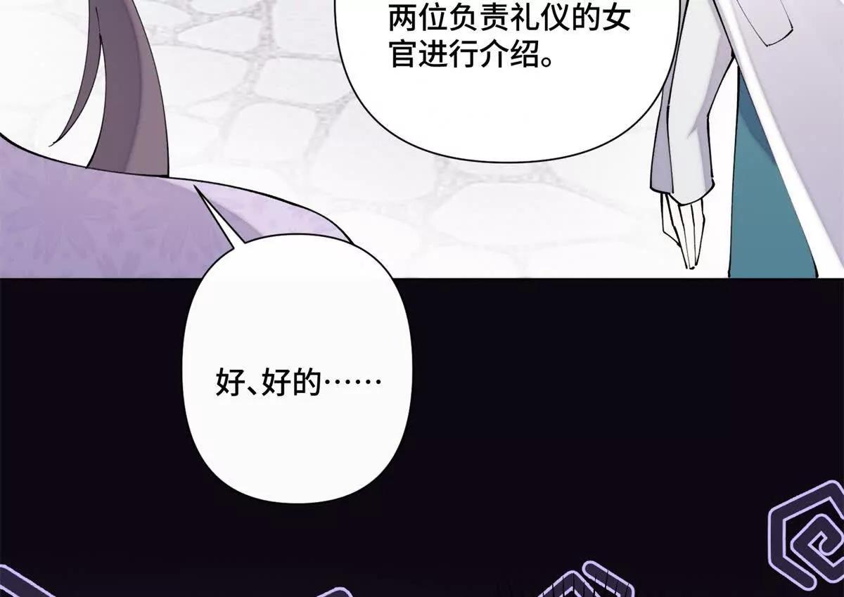62 是帕拉斯猫猫哦20