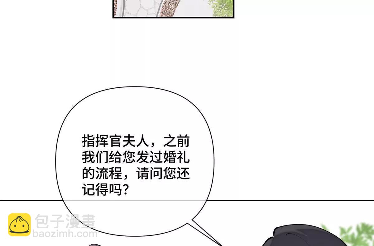 62 是帕拉斯猫猫哦26