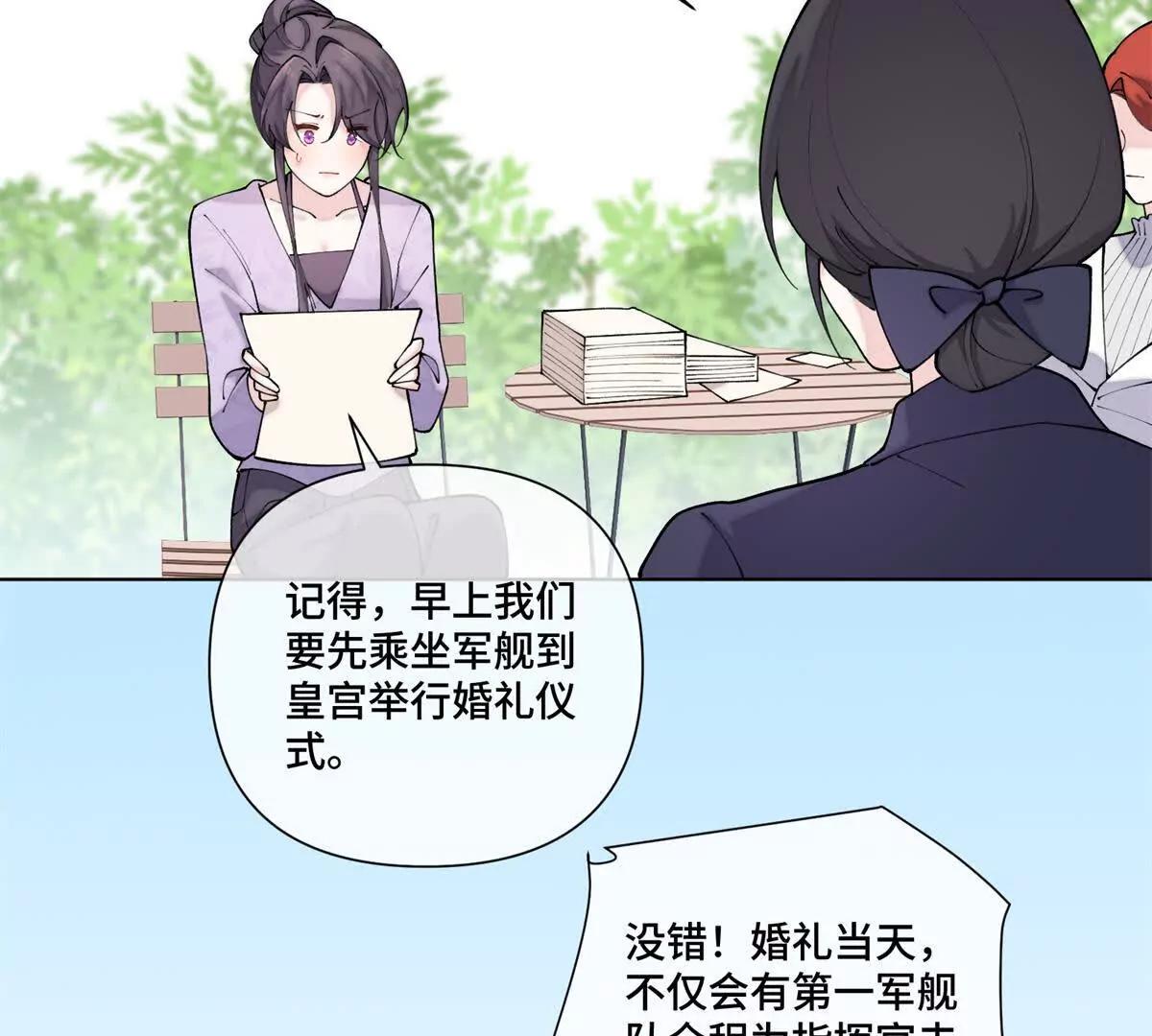 62 是帕拉斯猫猫哦27