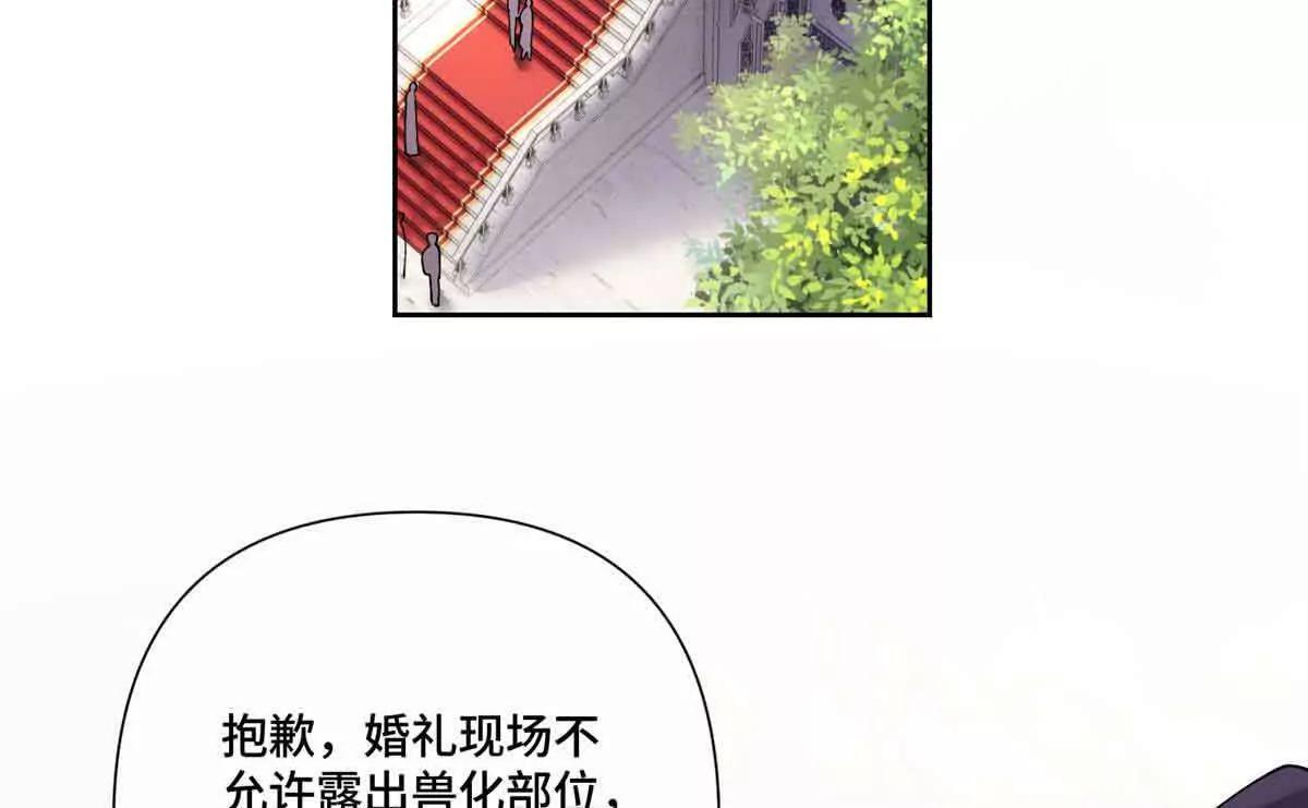 66 去结婚啦42