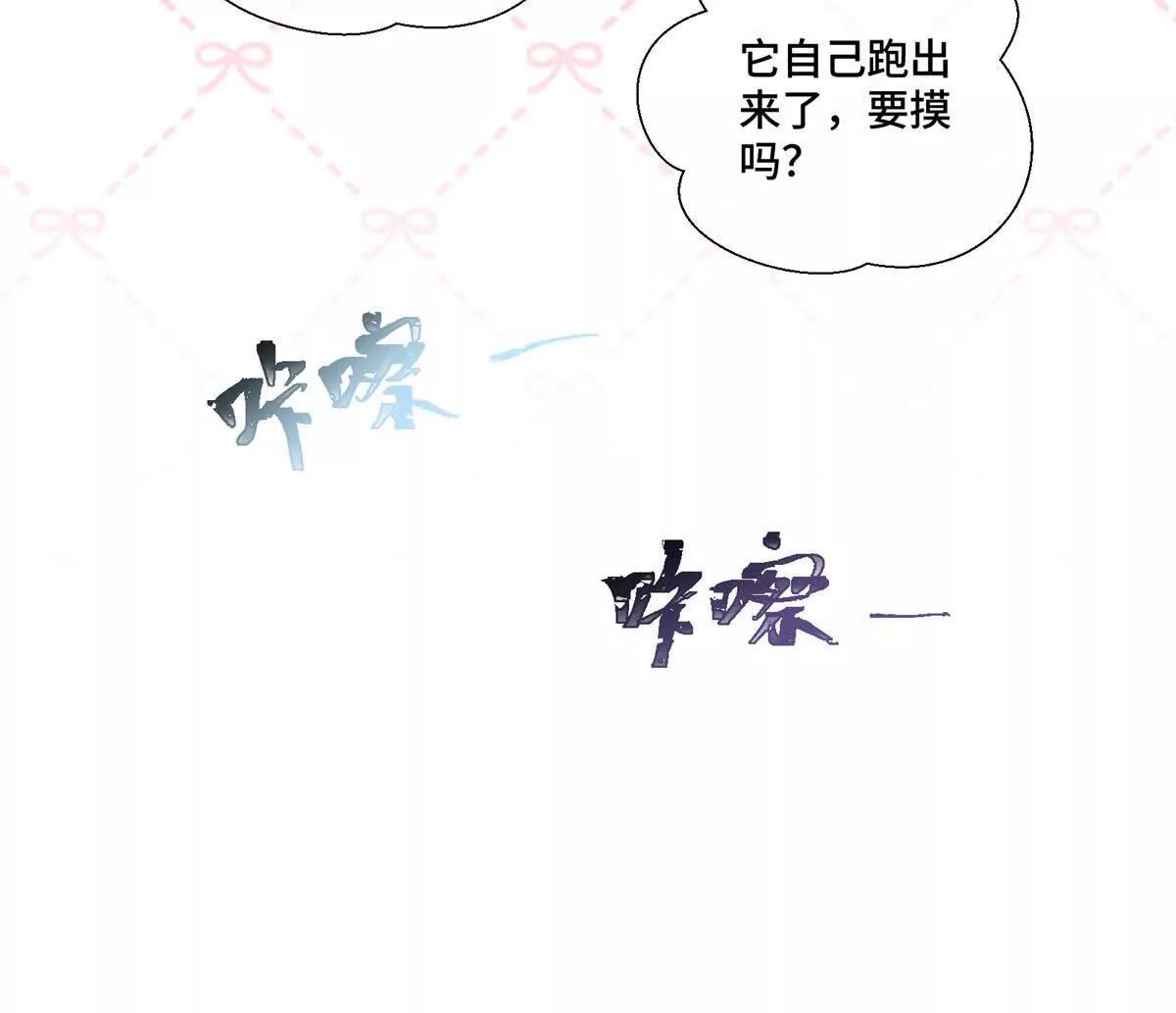 71 看看翅膀20