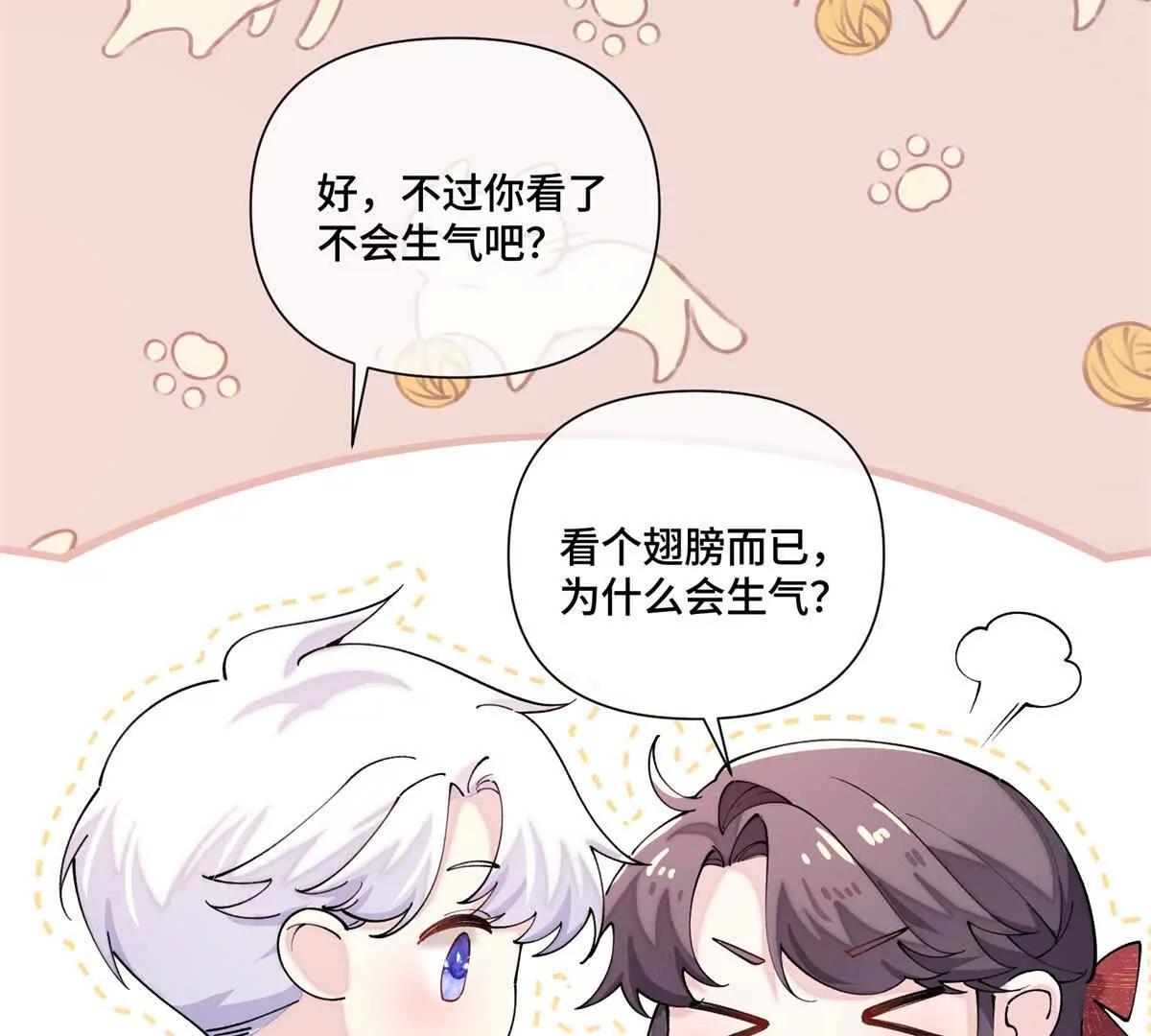 71 看看翅膀32