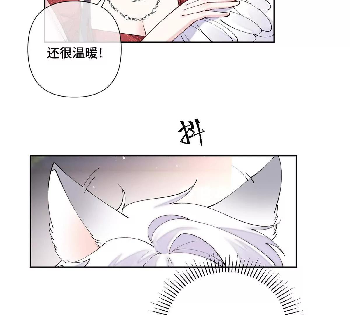 71 看看翅膀52
