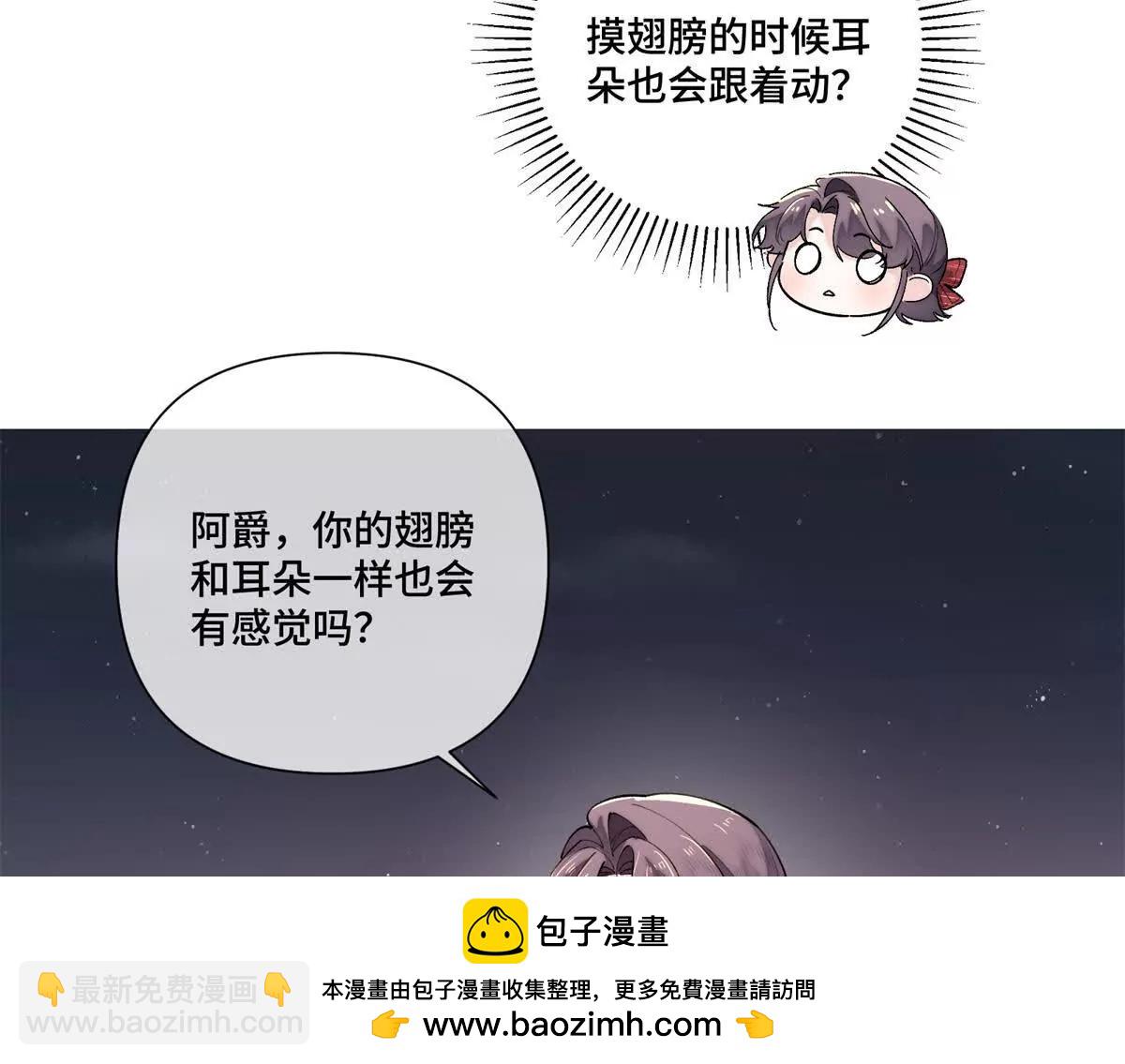 71 看看翅膀53