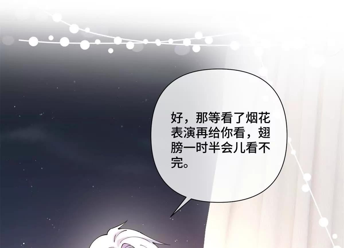 71 看看翅膀6