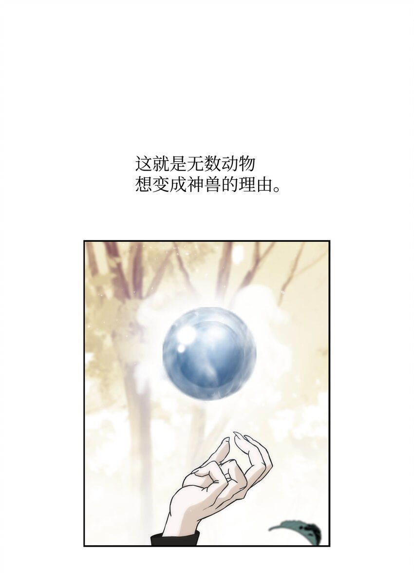 64 神兽出没26
