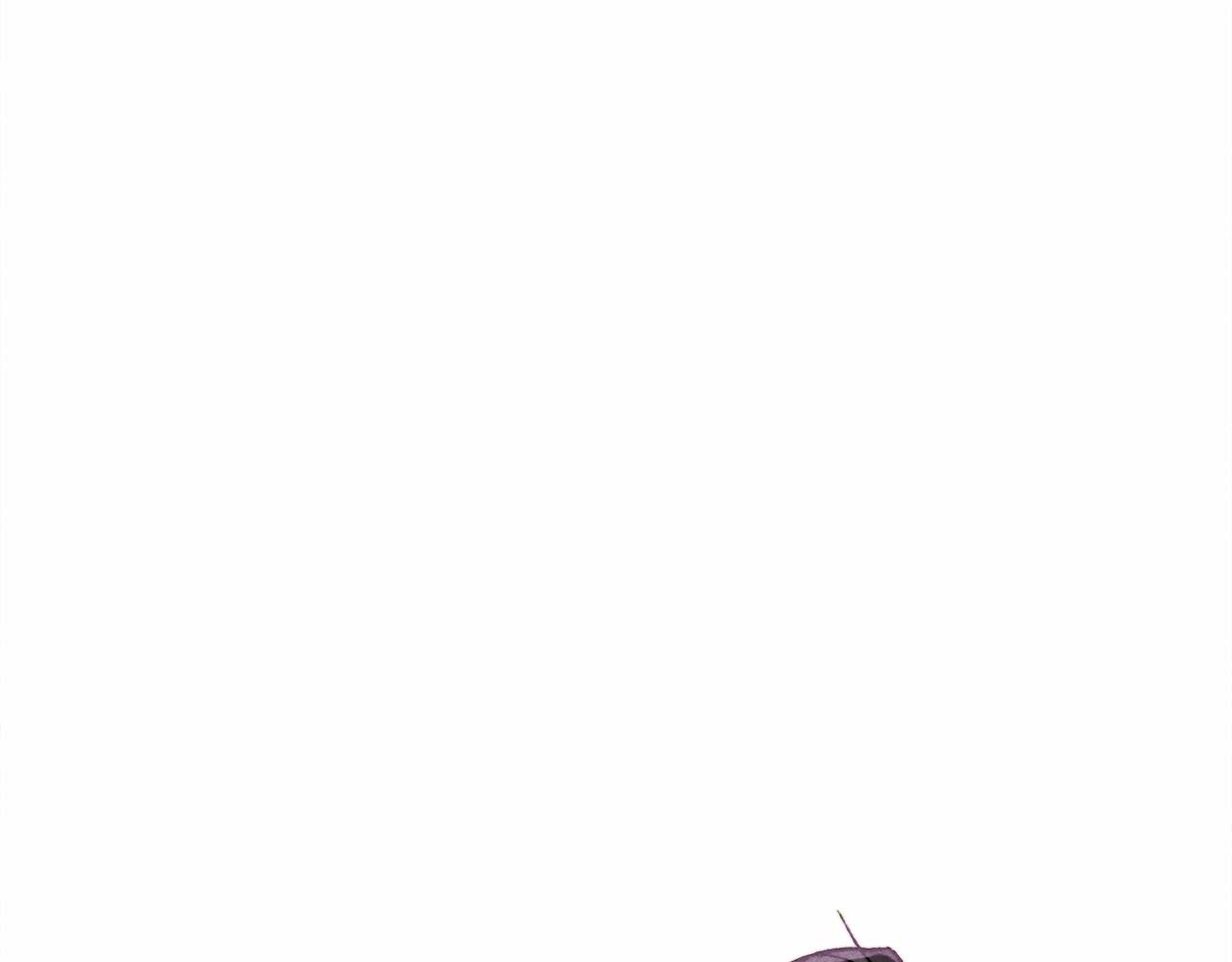 第38话 她生气了152
