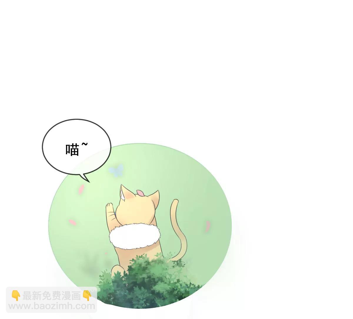 第154话15