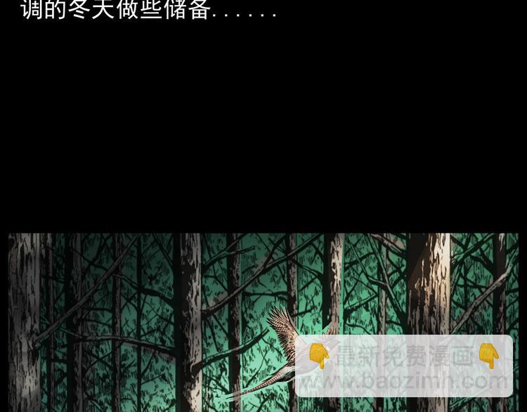第9话 猎狐12
