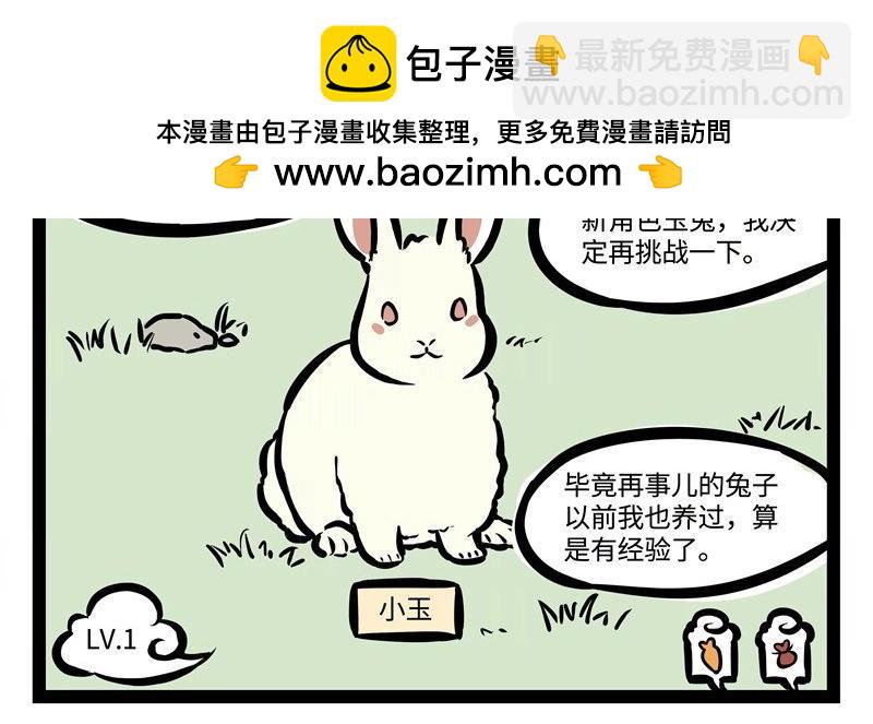 番外2  饲养游戏养兔兔1