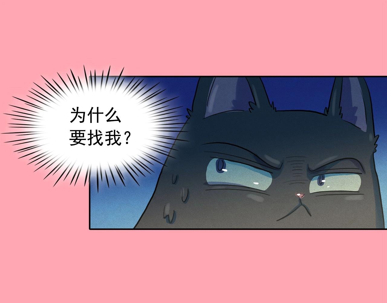 第39话 原来你是这样的洛奇0