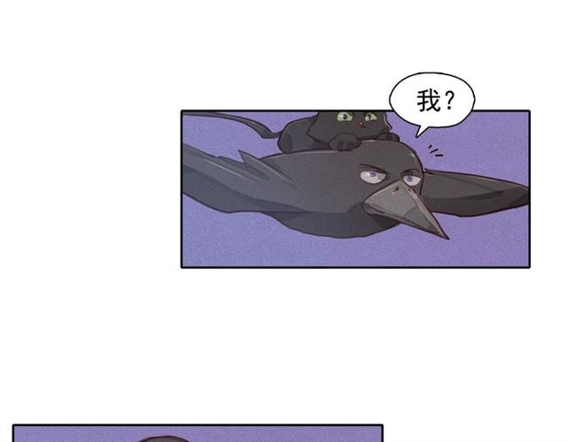 第72话 参与战争33