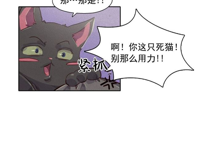 第72话 参与战争39