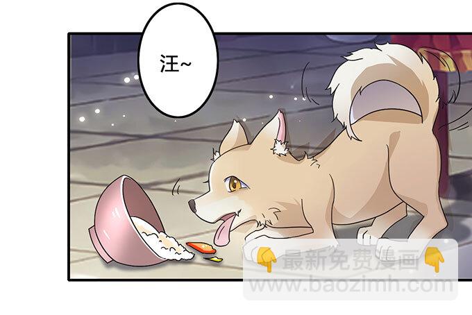 11 冤家路窄36