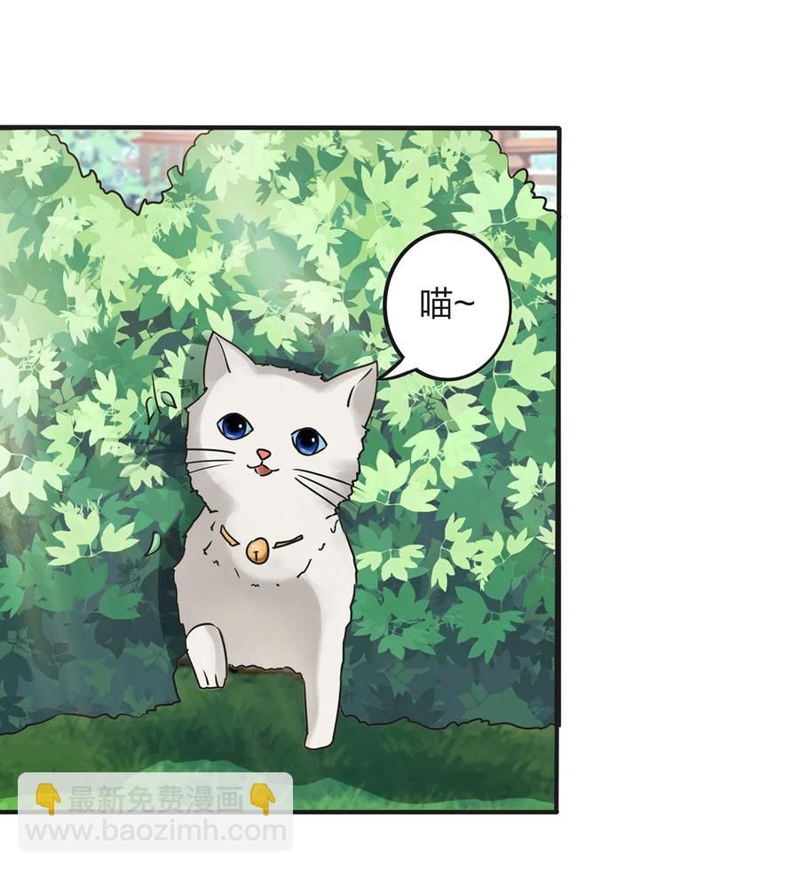 356 最后一颗宝石11