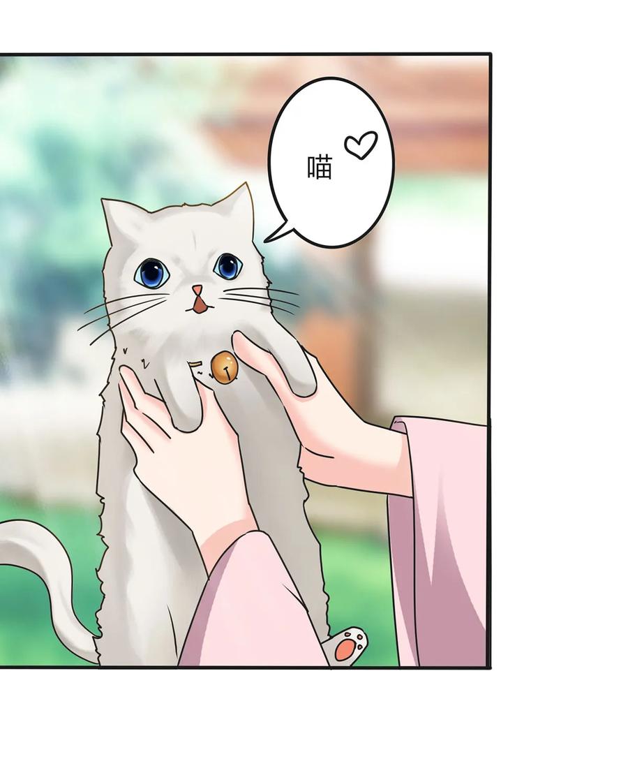 356 最后一颗宝石14