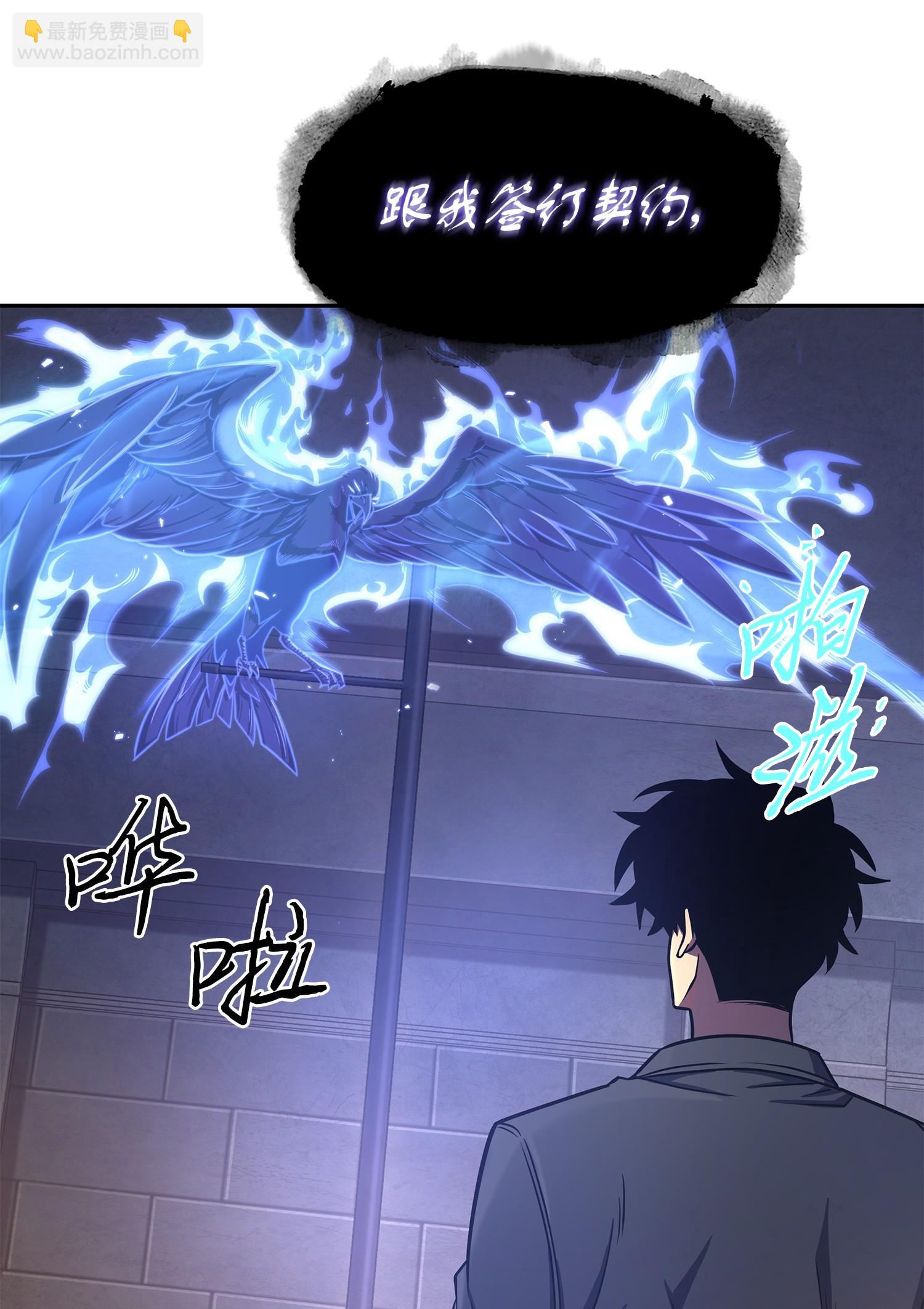 245 不死鸟17
