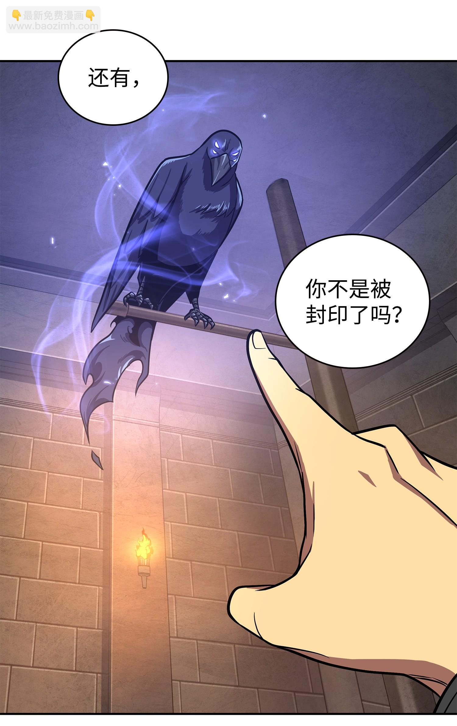 245 不死鸟21