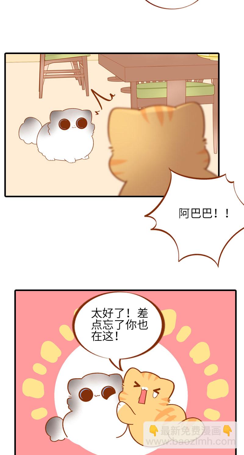 第50话 以为自己被抛弃的橘子2