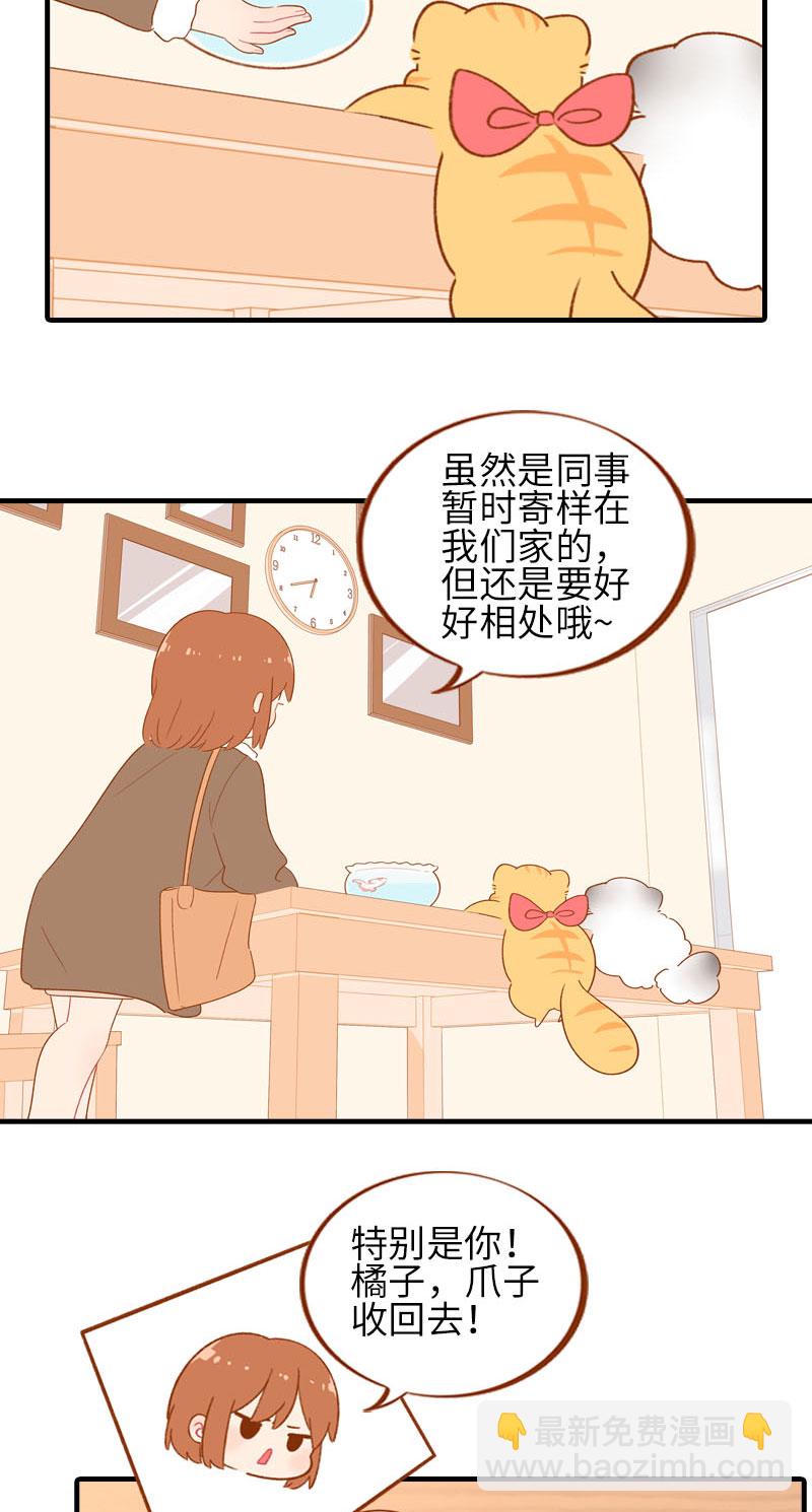 第57话 谁还吃观赏鱼啊~2
