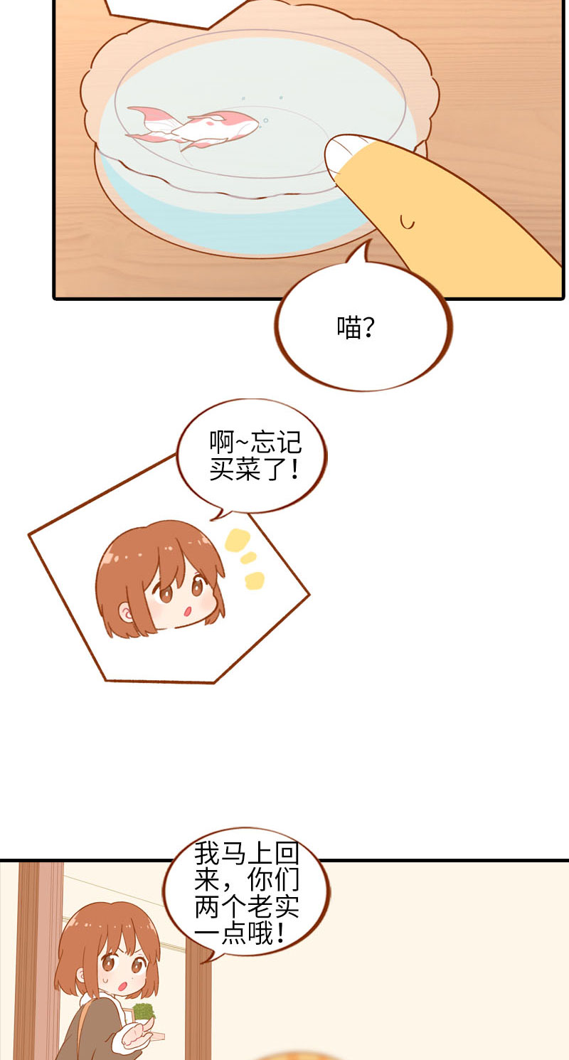 第57话 谁还吃观赏鱼啊~3