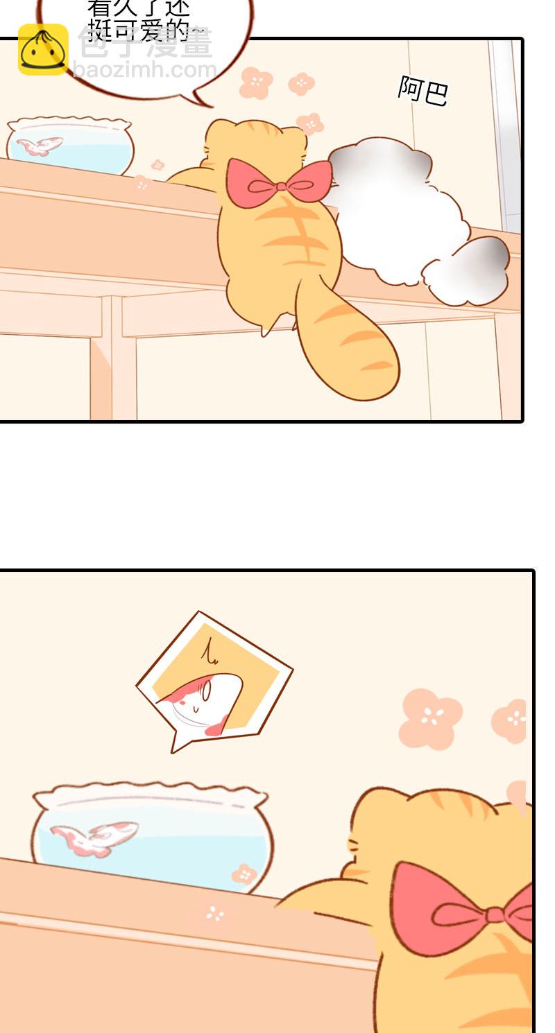 第57话 谁还吃观赏鱼啊~5