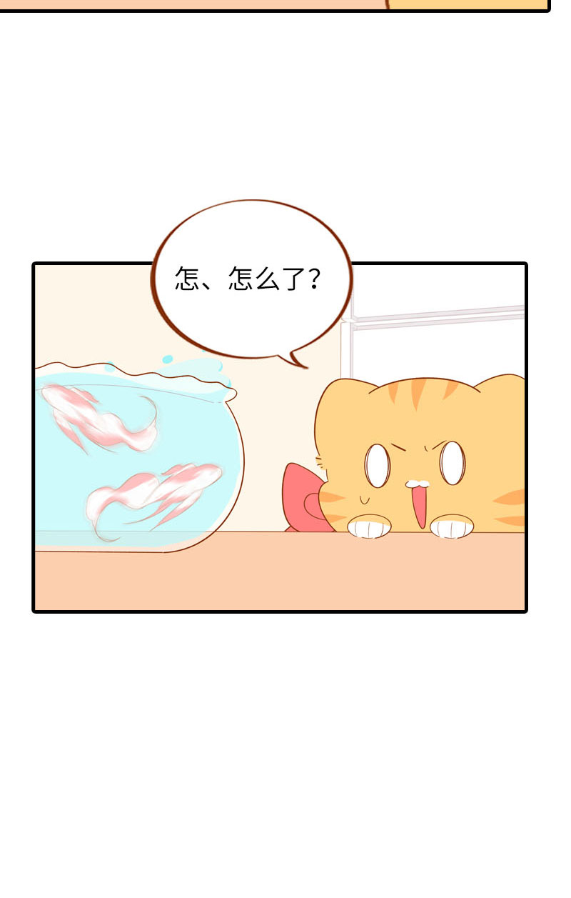 第57话 谁还吃观赏鱼啊~6