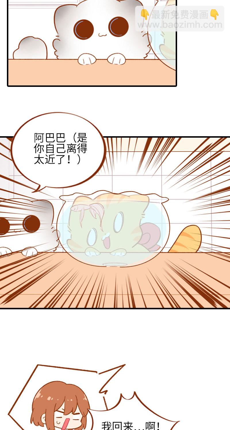 第57话 谁还吃观赏鱼啊~8