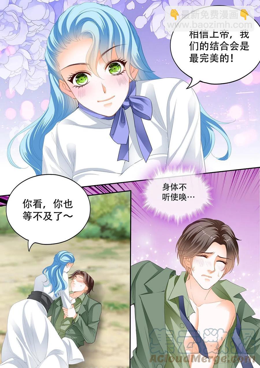 完美的结合3
