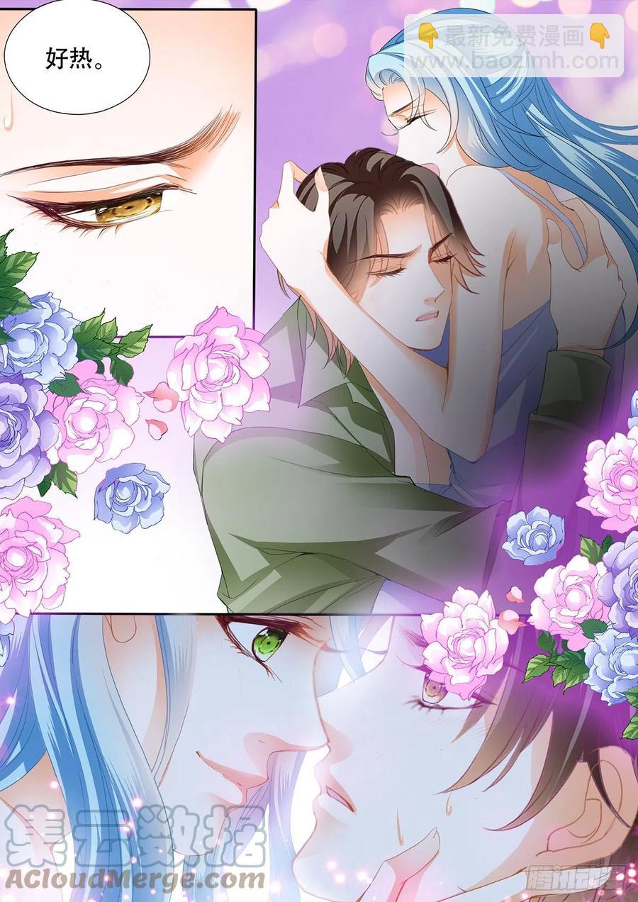 完美的结合7