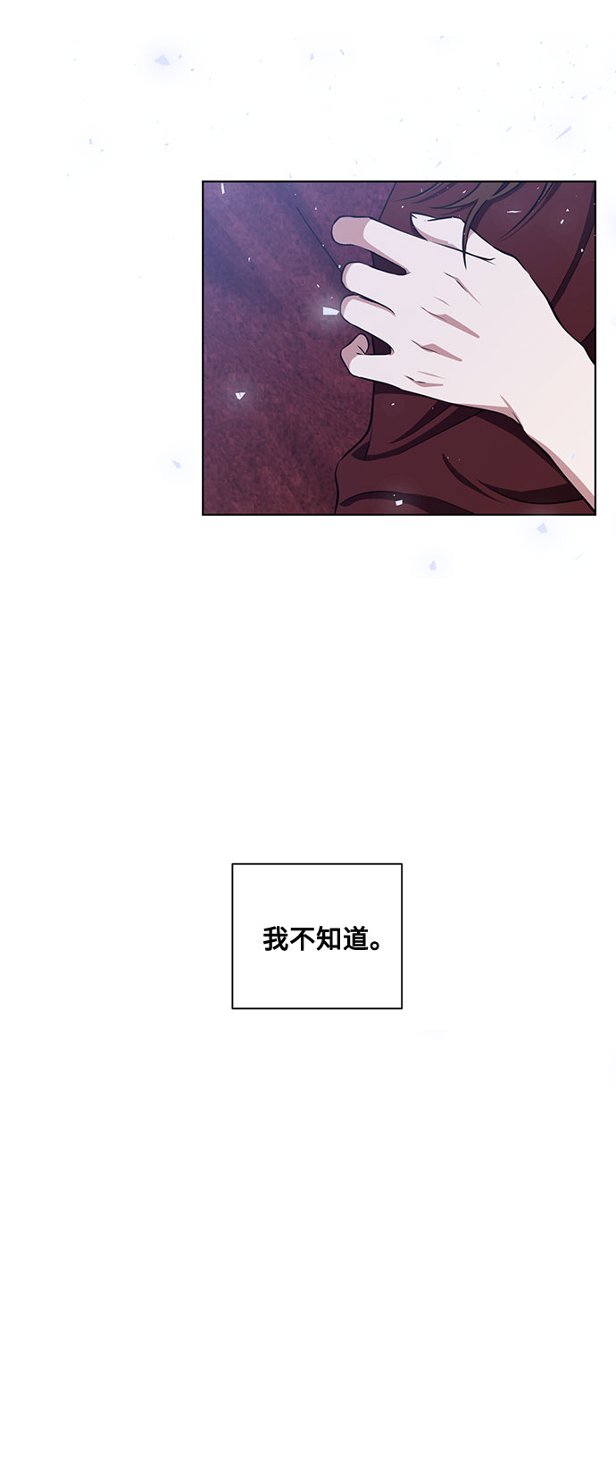 第53话 完美的婚礼（1）45