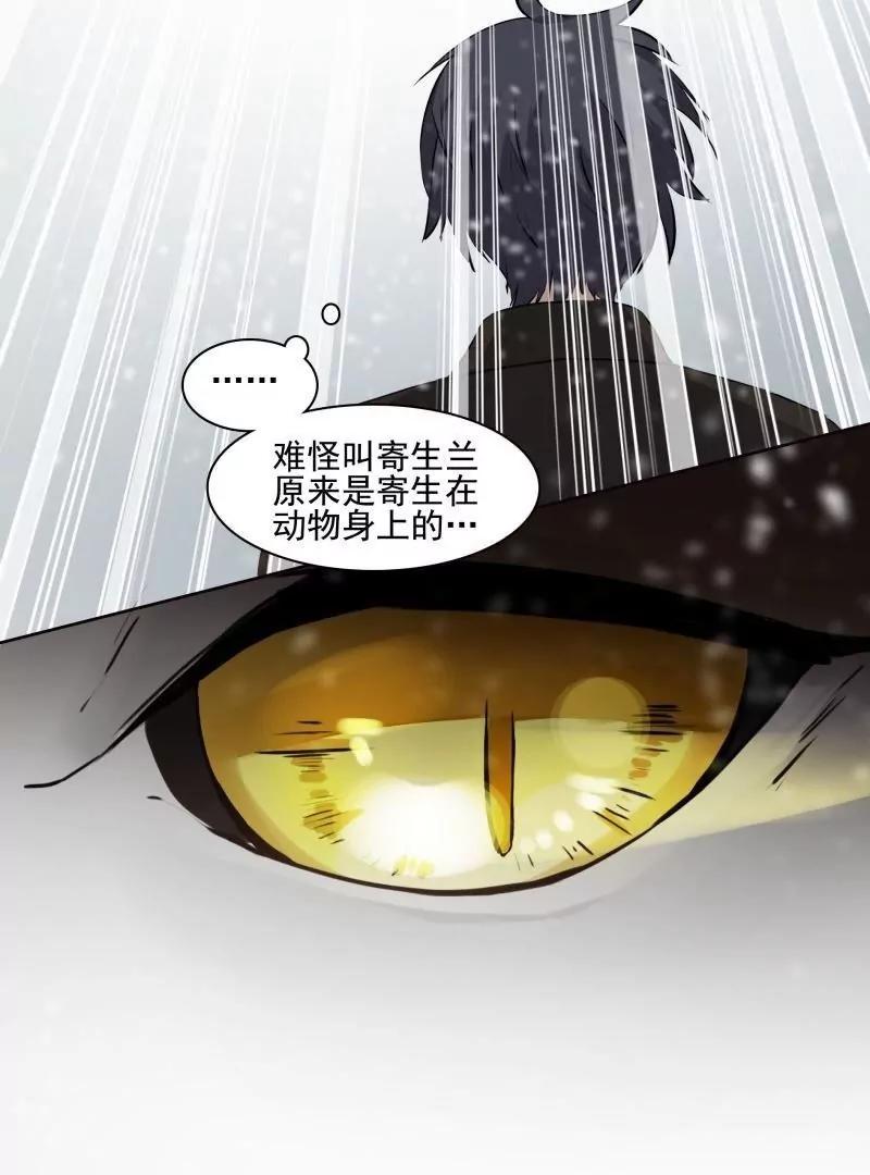 第52话 天庭动乱（4）26