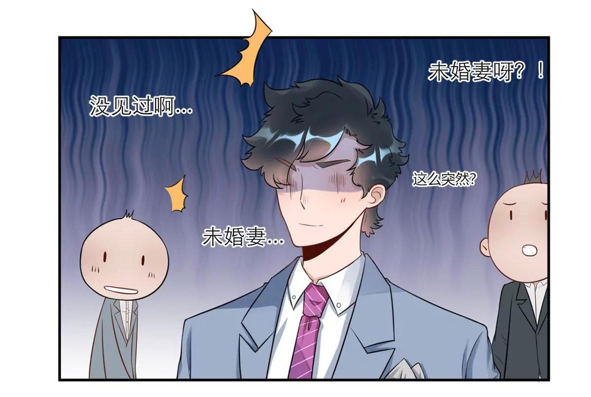 未婚妻风波8