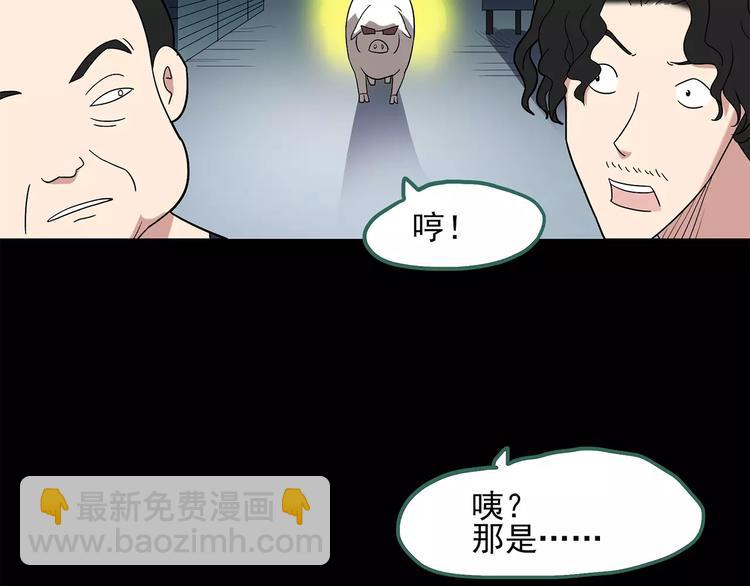 第53话 背宝金猪（上）95