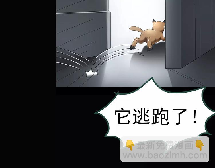 第63话 木偶（二）76