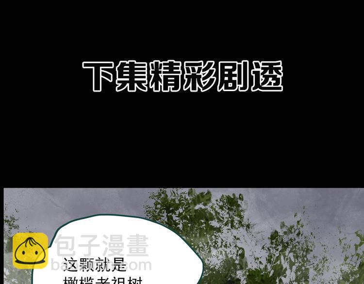 第330话 贞节橄榄树（上）134