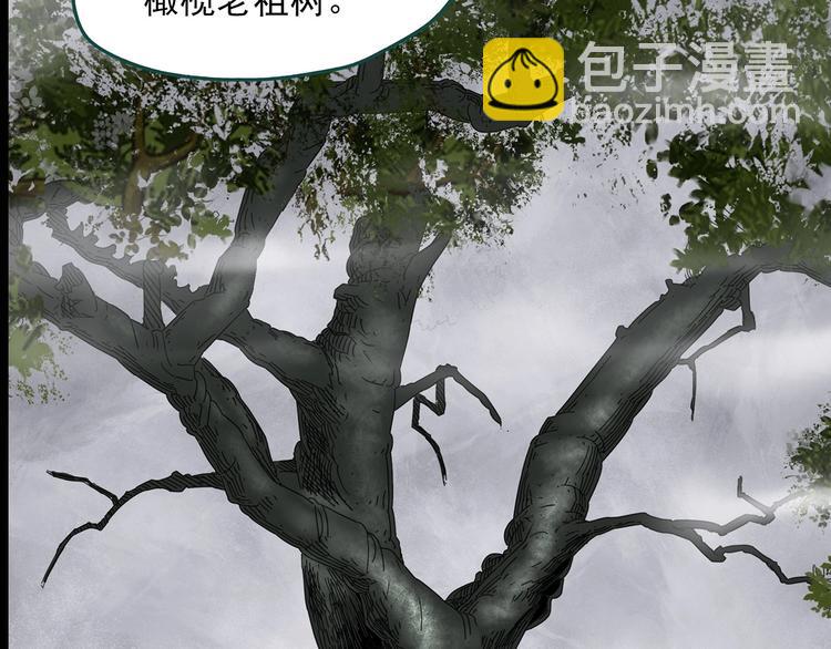 第330话 贞节橄榄树（上）135