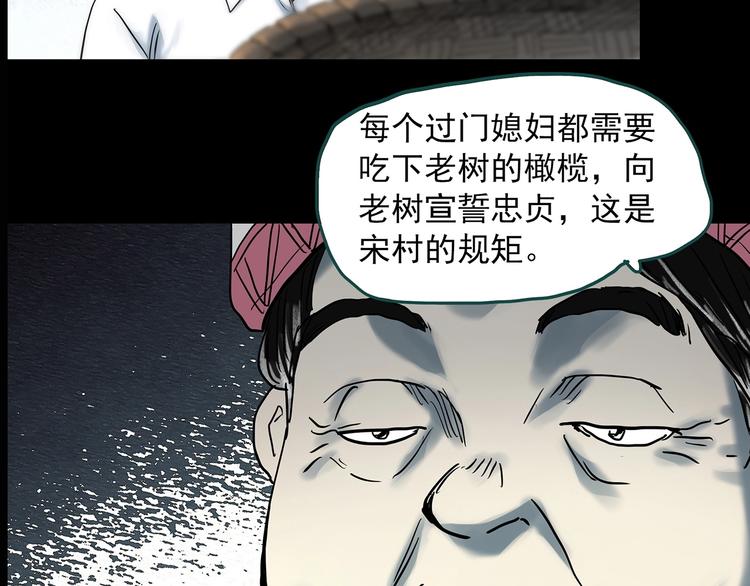 第330话 贞节橄榄树（上）138