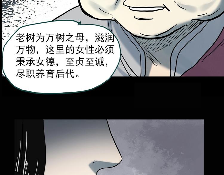 第330话 贞节橄榄树（上）139