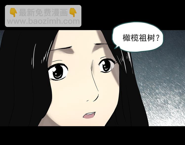 第330话 贞节橄榄树（上）15